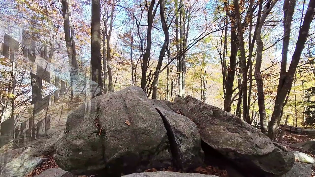 Visitando el Montseny 3º part, Barcelona