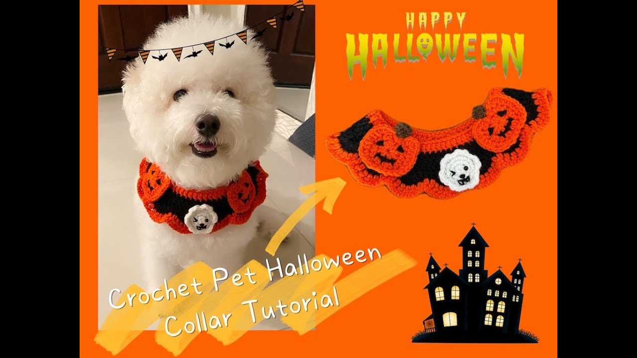 編織萬聖節寵物項圈教程 HOW TO CROCHET PET HALLOWEEN COLLAR | BEGINNER CROCHET TUTORIAL