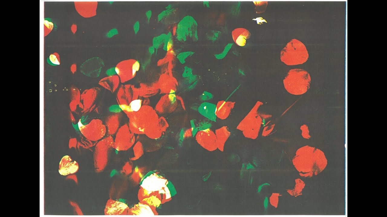 Pati Hill: Vers Versailles