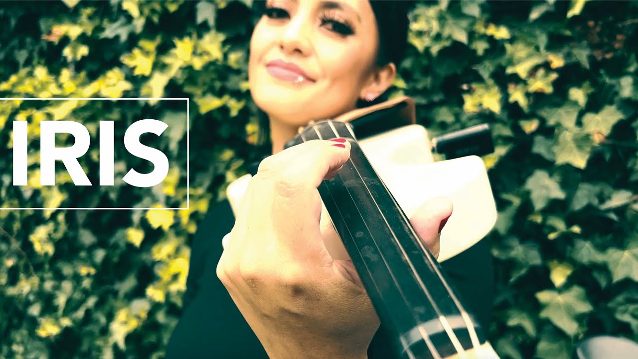 IRIS Violin Cover by LA VID VIOLIN [Goo Goo Dolls]