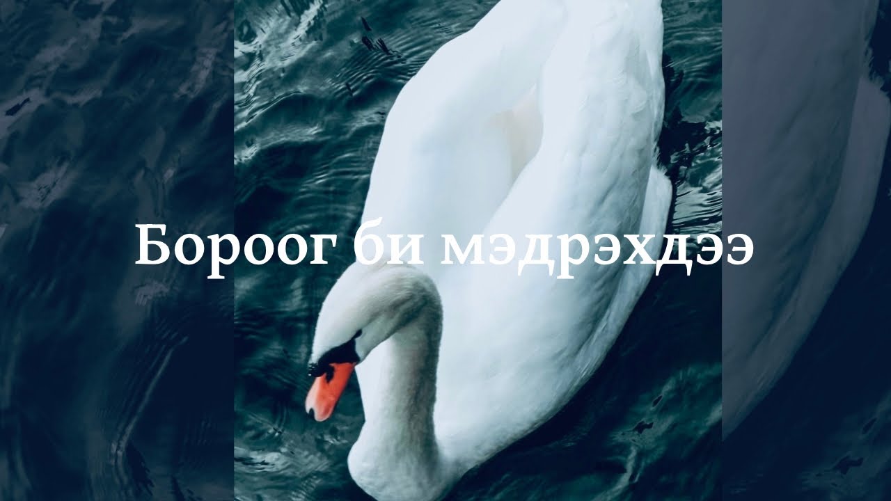 🌀Eternality | Peaceful calming melody | Бороог би мэдрэхдээ... @URanGoomusic