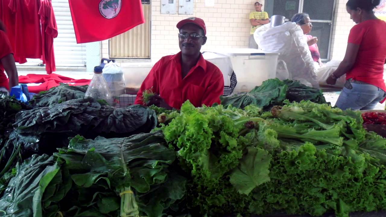 Escola Popular de Agroecologia e Agrolforesta Egidio Bunetto Parte 1