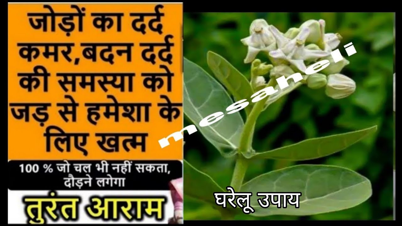 2 बार लगा लो हाथ-पैर कमर दर्द घुटनों का दर्द जोड़ों का दर्द सब ख़त्म,joro ke dard ka ilaj ,mesaheli.