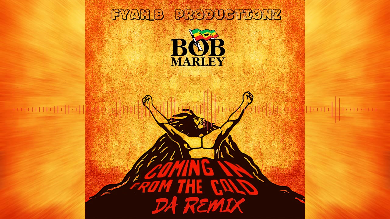 Bob Marley - Coming In From The Cold (reggae remix)