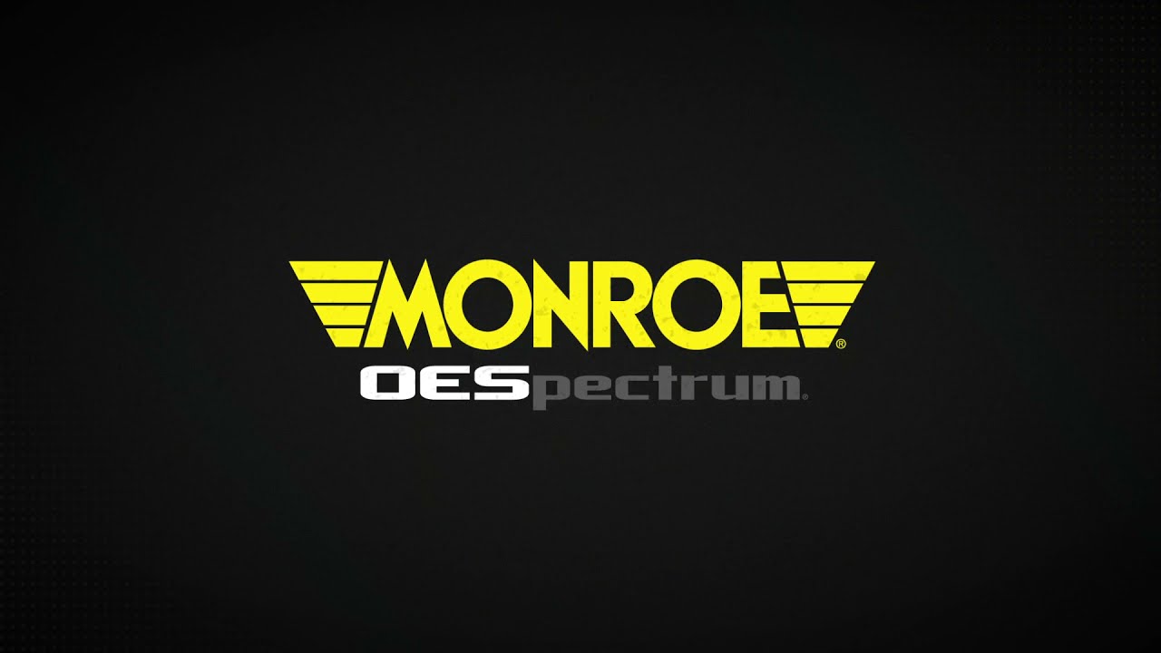 Monroe | OESpectrum Shocks are Built Different :15