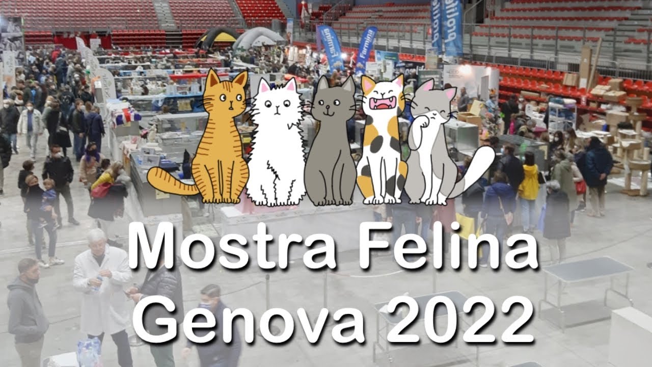 Mostra Felina Genova 2022