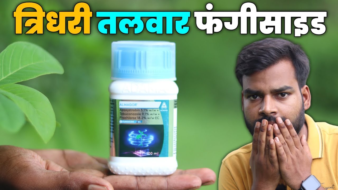 Almagor Fungicide Adama | फसल में सभी रोग एक साथ खत्म 💯😱