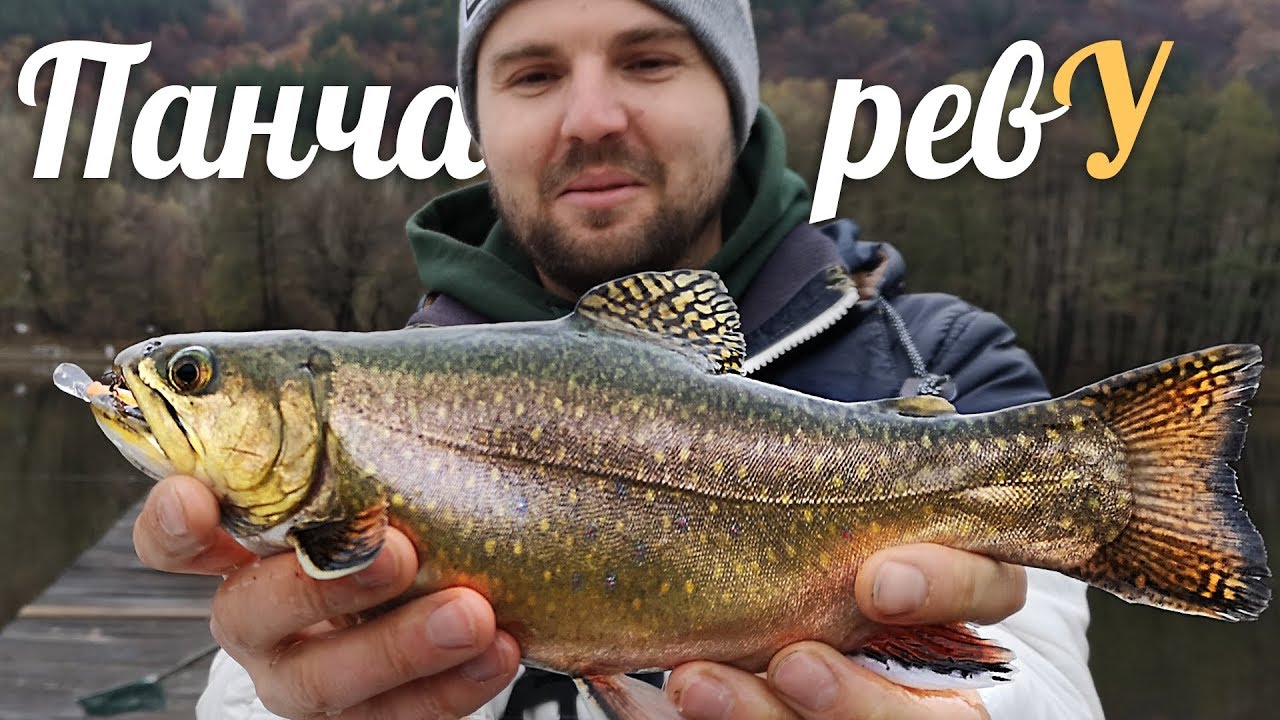 Панчарево Риболов на СИВЕН, щука и пъстърва Trout & Pike fishing
