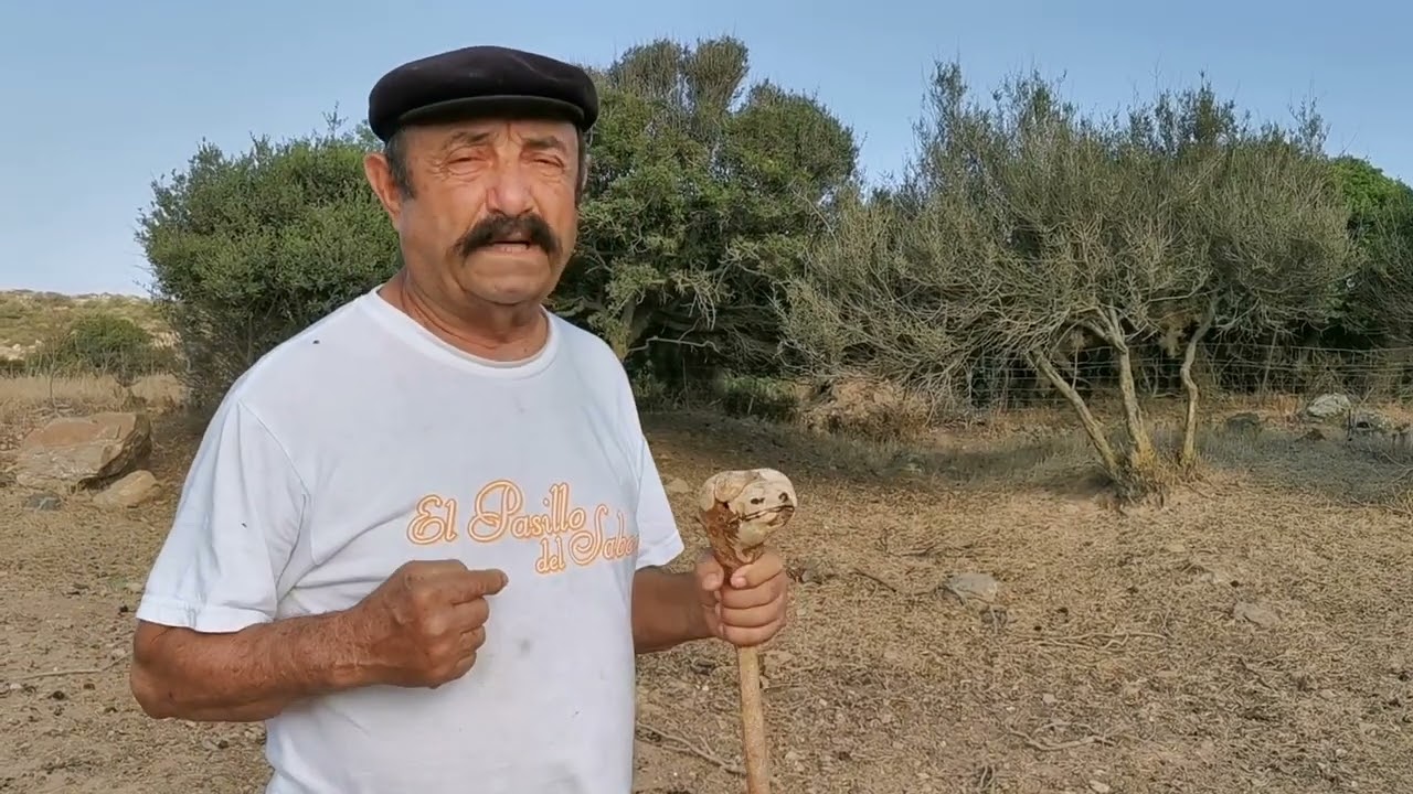 Una giornata da pastore in Sardegna