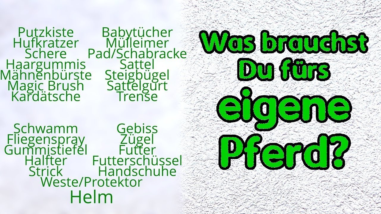 Grundausstattung fürs eigene Pferd