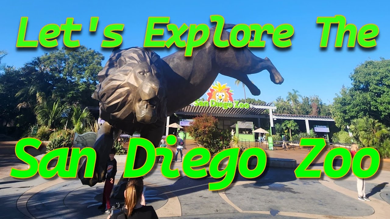 Exploring the San Diego Zoo | A World of Wildlife