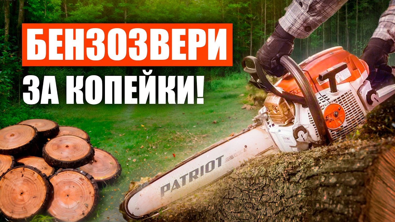 Лучшие бензопилы до 10 000 рублей! Рейтинг цепных пил для дома и дачи в 2025 году!