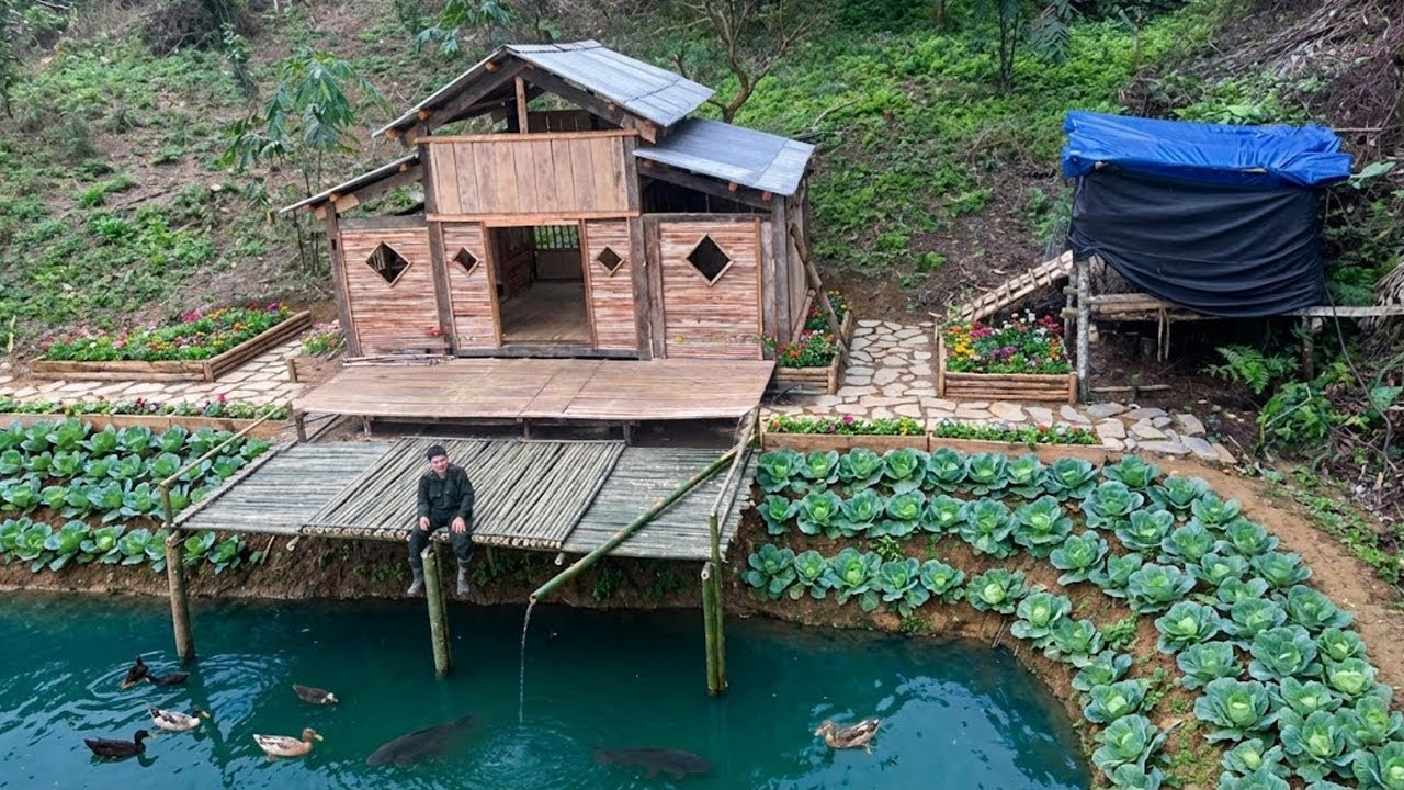 Building a Bamboo Drying Rack Over the Fish Pond | 365 Days Building a Forest Farm - P.9