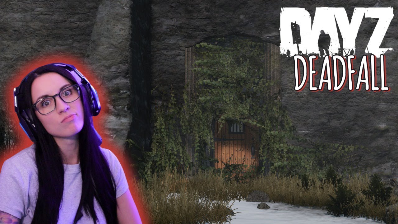 Taking on Deadfall With Randoms… This Was a Mistake #gaming #twitch #dayz