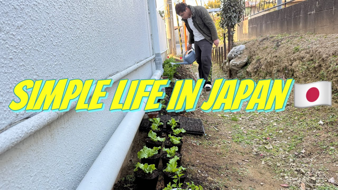 Filipino simple life in Japan 🇯🇵/planting lettuce/home gardening/cooking /OFW daily work routine