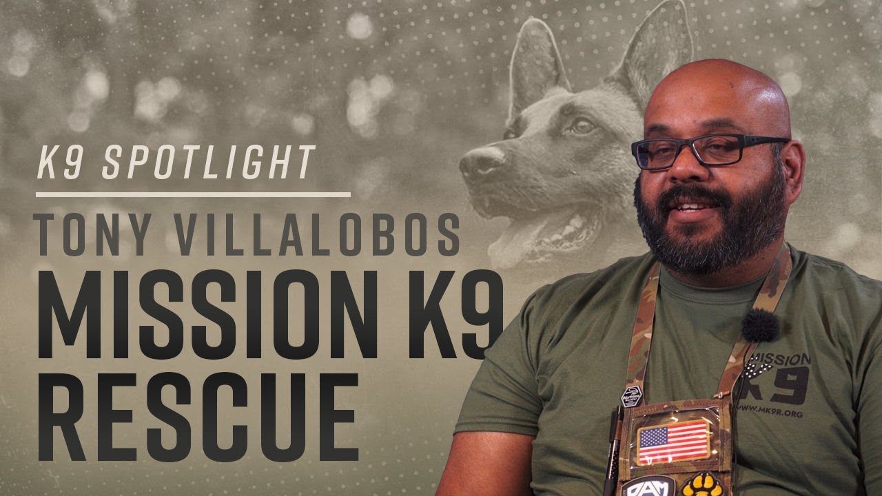 Тони Вильялобос из Mission K9 Rescue об усыновлении служебных собак на пенсии &mdash; K9 Spotlight