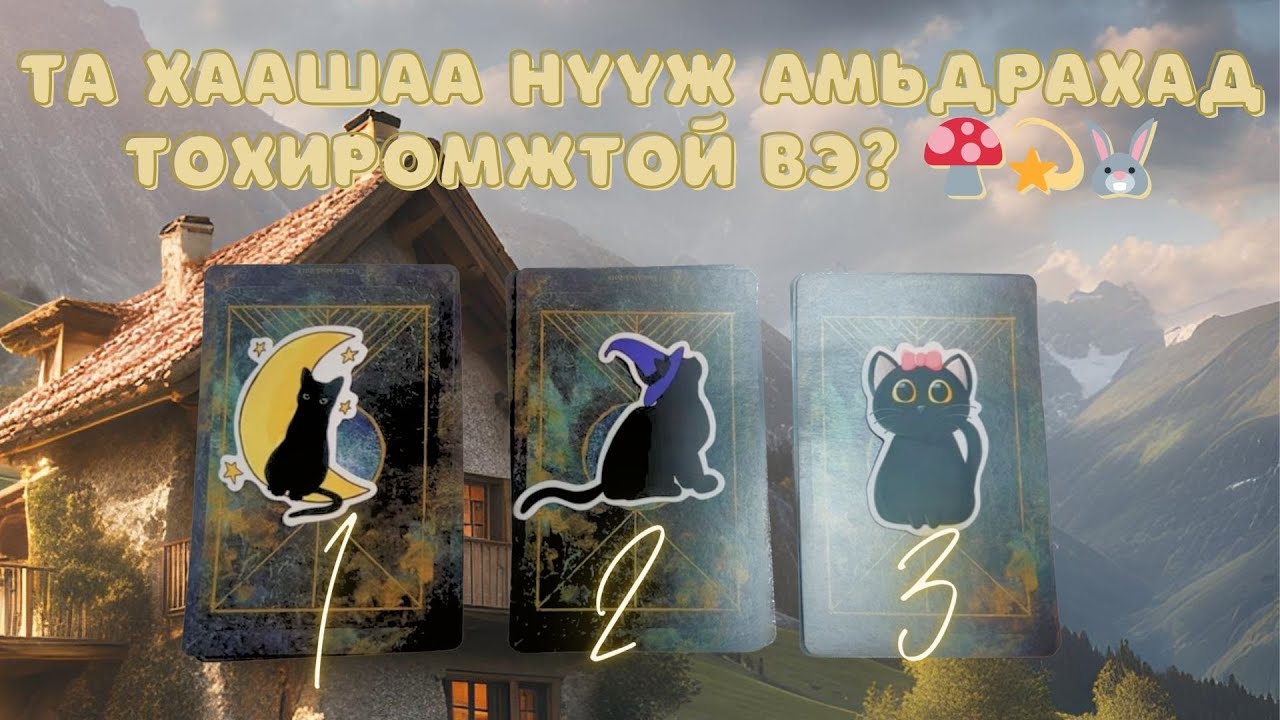 Та хаашаа нүүхэд, хаана амьдрахад тохиромжтой вэ? | Тарот мэргэ