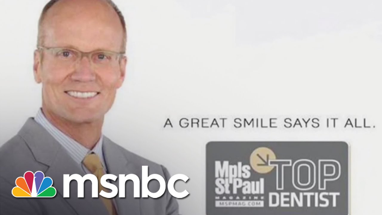 The Dentist Who Killed Cecil The Lion | Andrea Mitchell | MSNBC