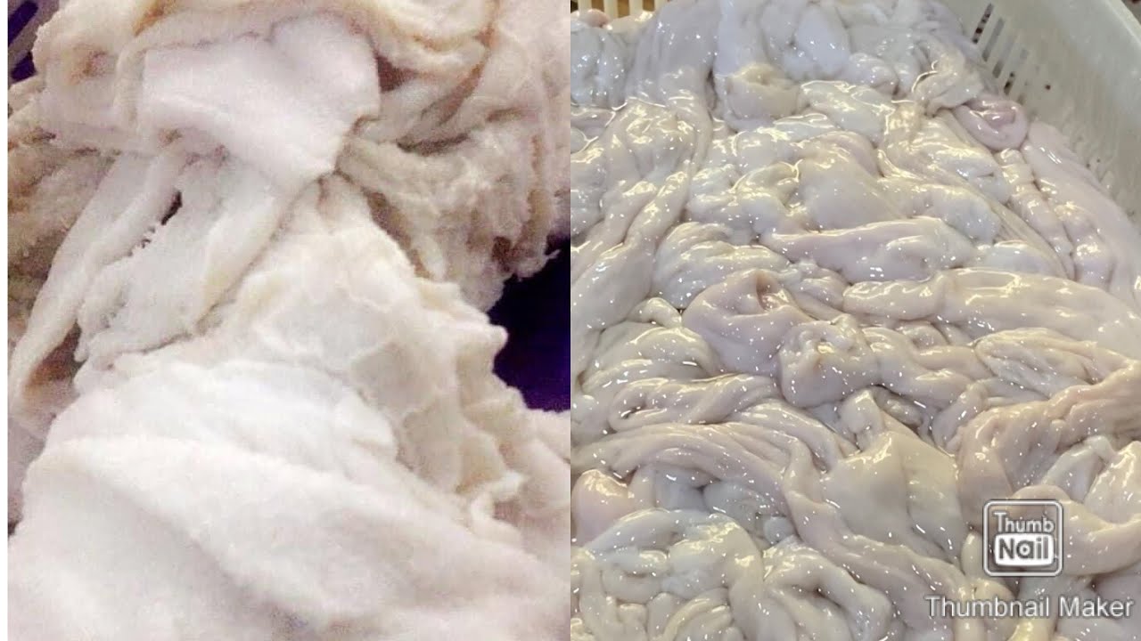 باقشكرن وشيشتناباجئ كيباريي (عيرك وريڤيكا)