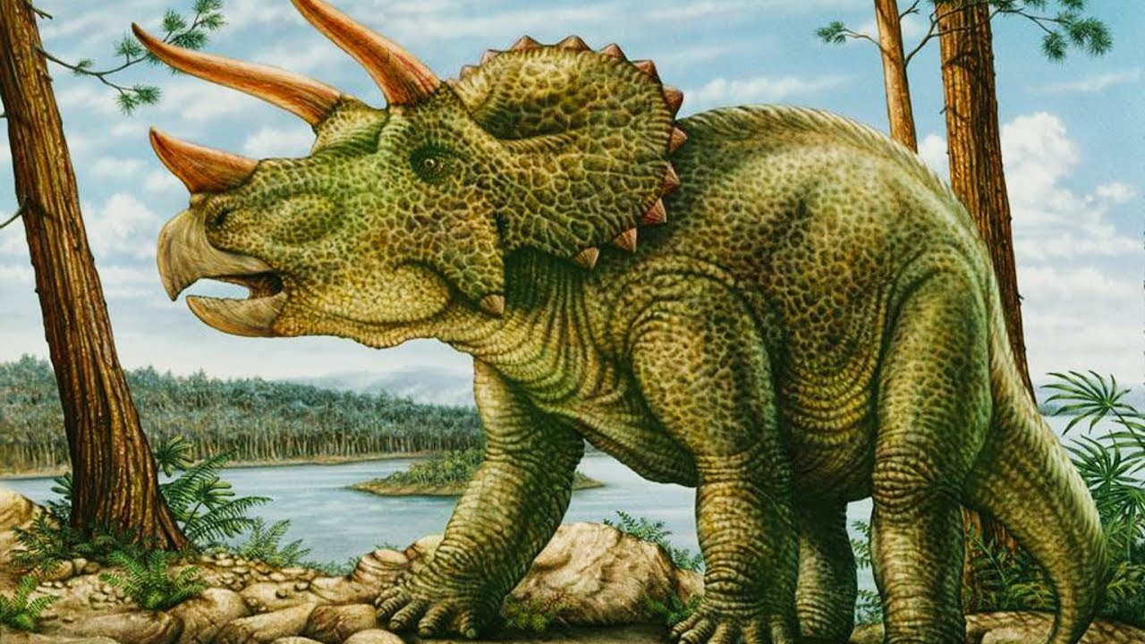 Triceratops - roślinożerny przeciwnik tyranozaura
