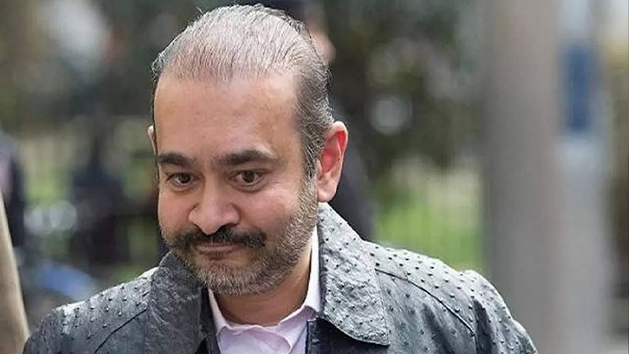 Nirav Modi scam case: Bombay High Court pulls up Punjab National Bank, questions inaction