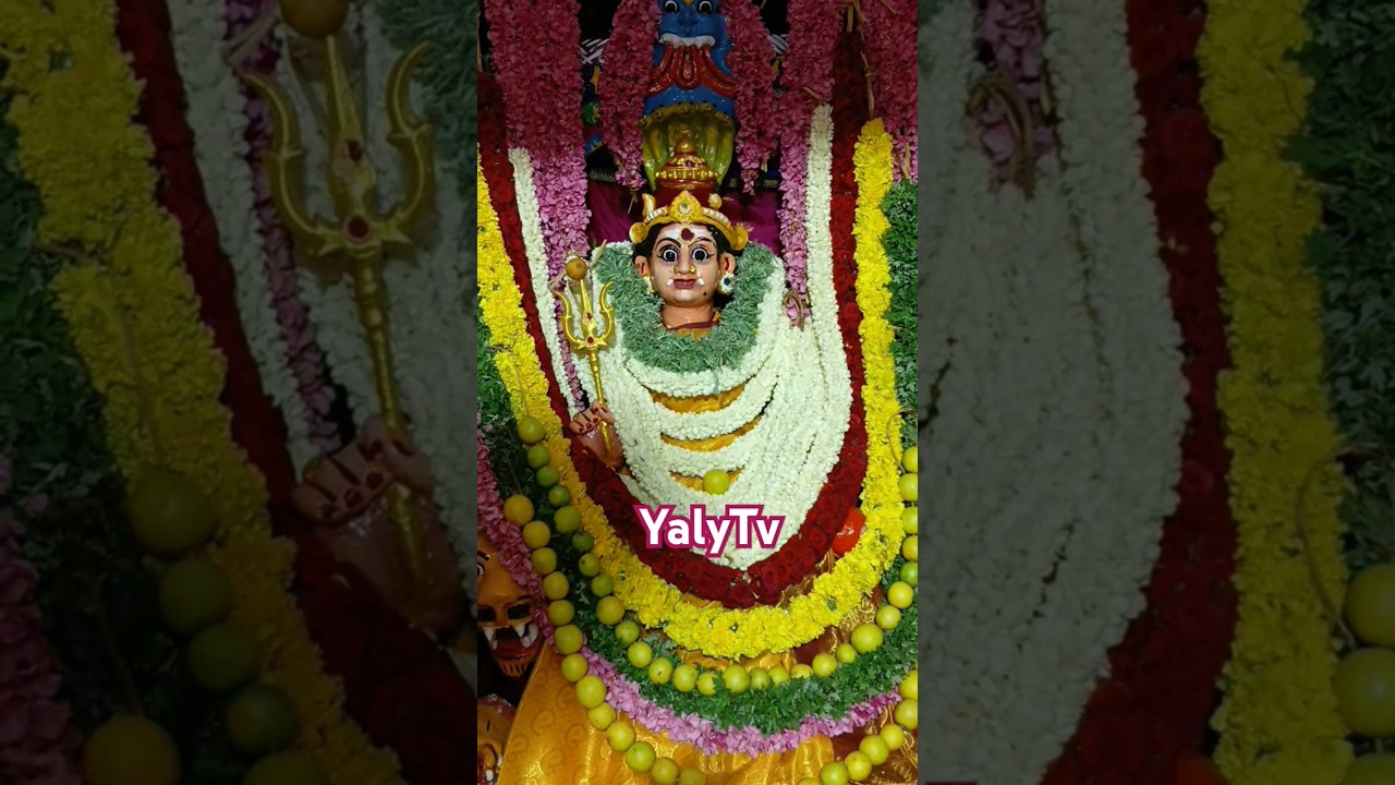 Veppilaikari songs🙏 #yalytv #dance #song #folksong