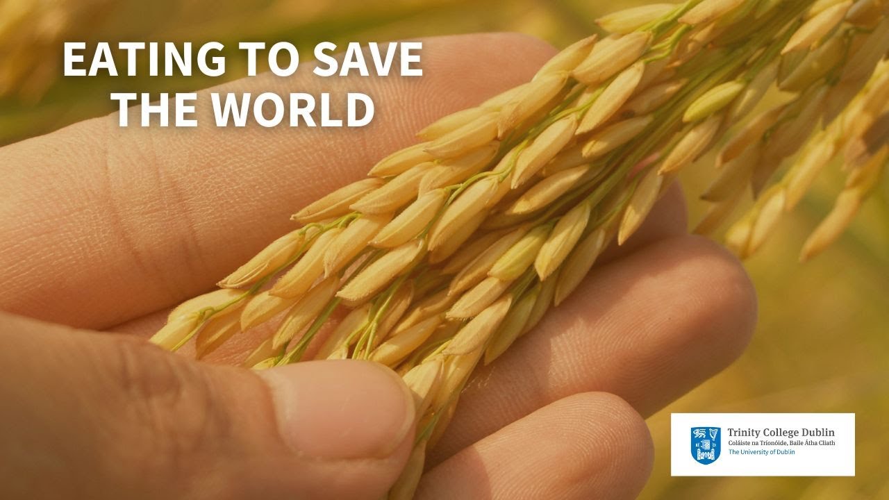 Eating to Save the World: How what you eat affects global stability