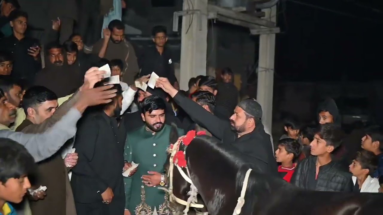 Traditional hourse dance
