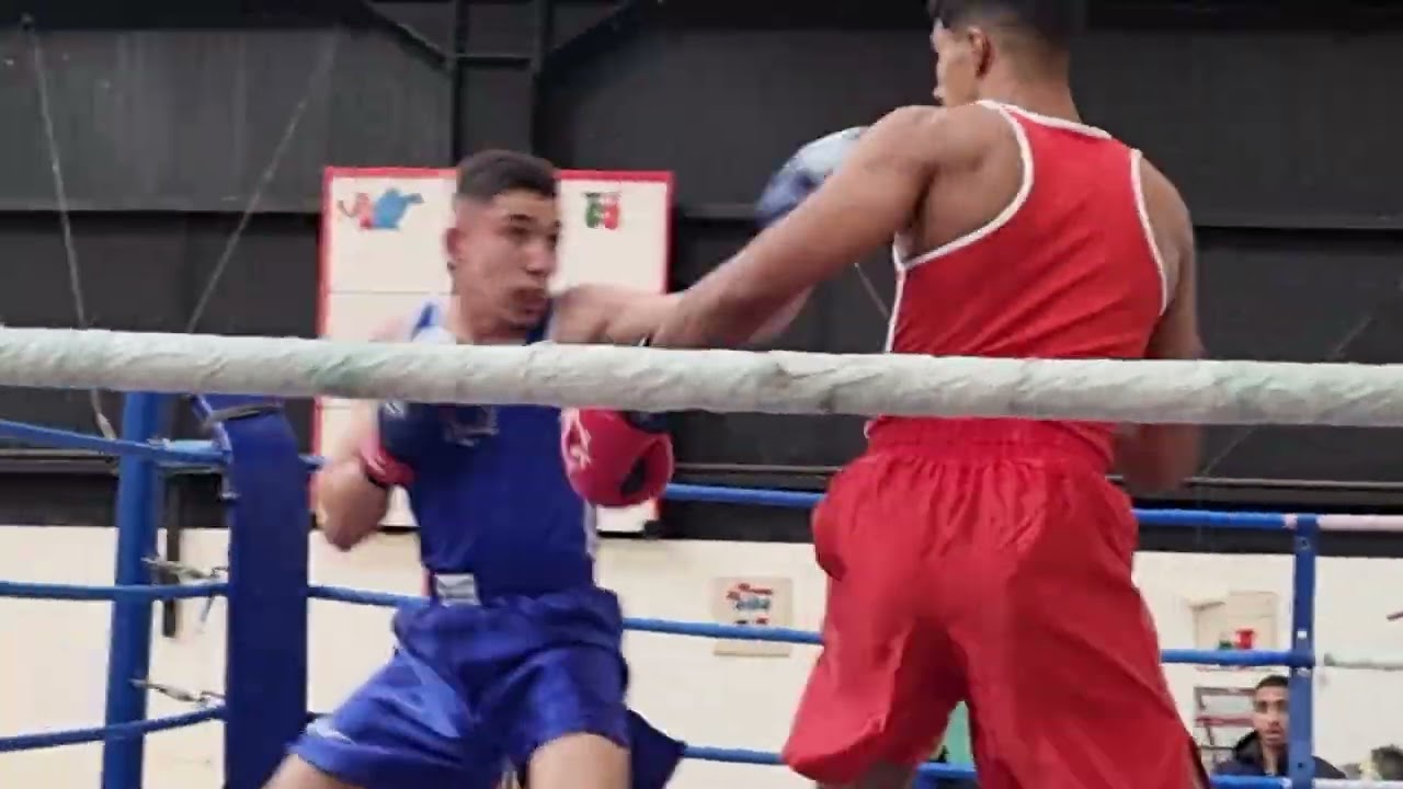 BOXE ALGÉRIE. البطولة الولائية للملاكمة أواسط و أكابر الشلف 10جانفي2026 