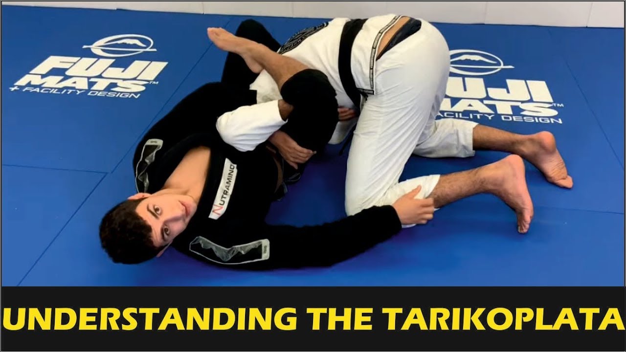 Understanding The Tarikoplata by Tarik Hopstock (The Creator Of The Tarikoplata)