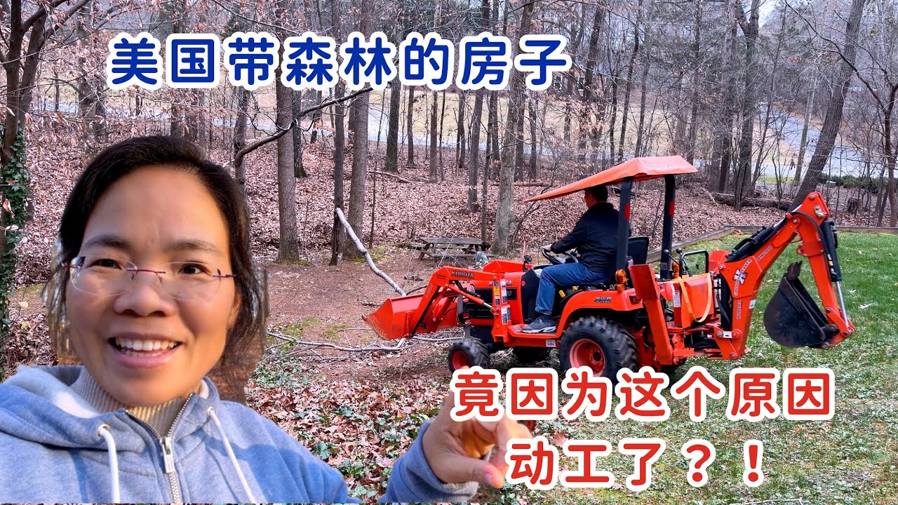 美国带森林的房子，院子是什么样的？竟因为这个原因开始动工了？