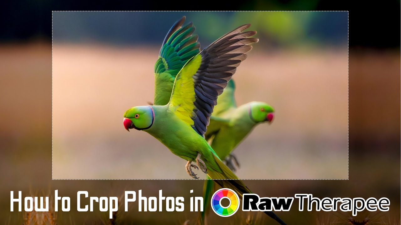 How to Crop Photos in RawTherapee: Step by Step How to Use the Crop Tool in RawTherapee