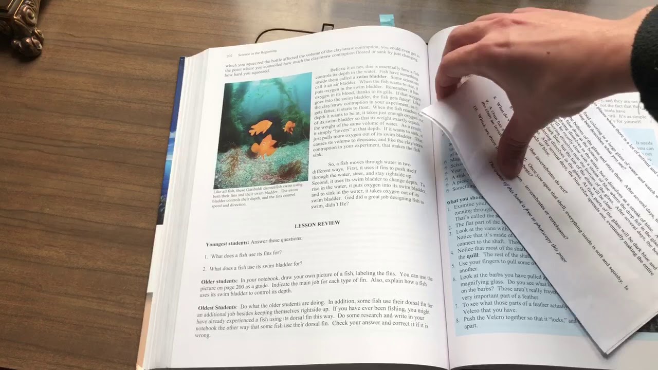 Science in the Beginning Review