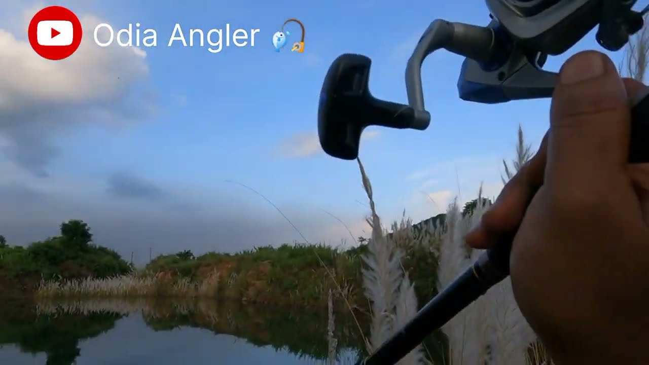 Feeder casting #majorcraftindra #Safinapro #majorcraft #okuma#odiaangler