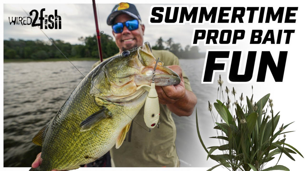 Mastering Topwater Prop Baits for Summer Bass Over Grass