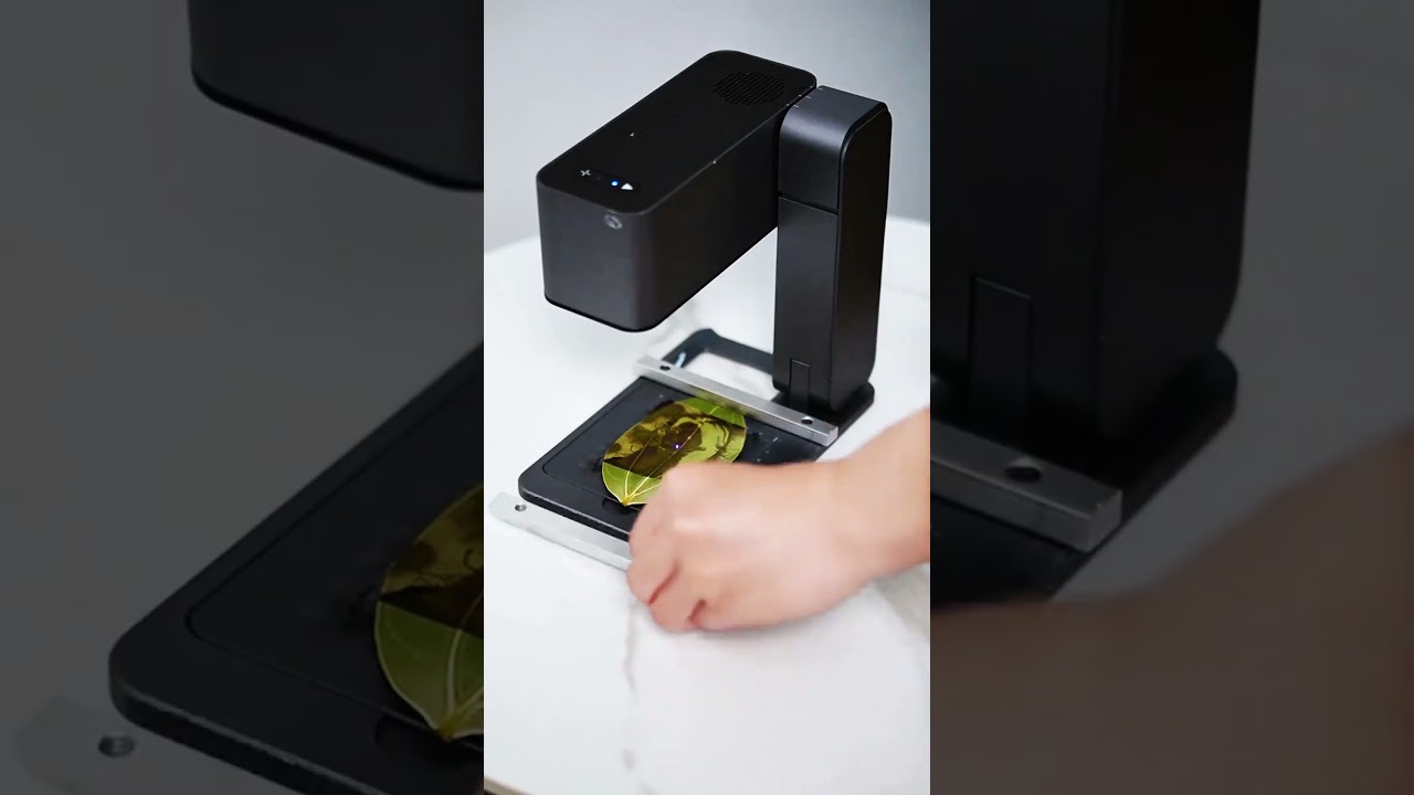 Precision Meets Nature: Leaf Carving Machine