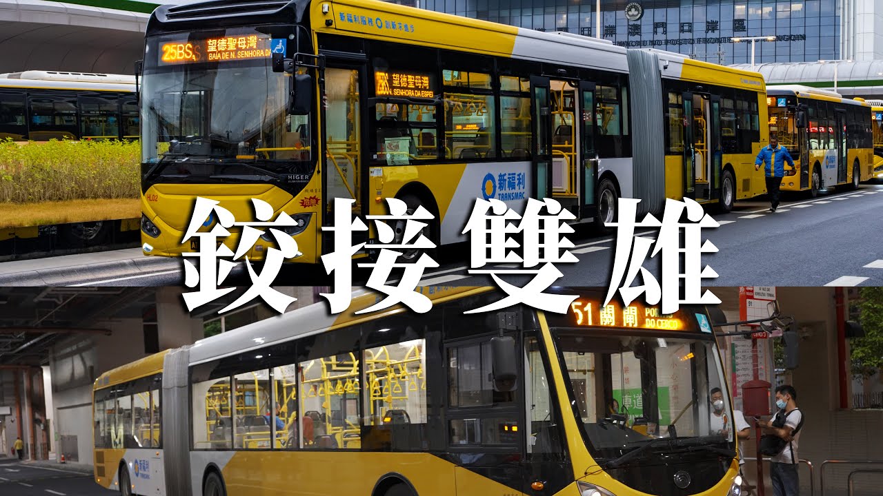 兩款鉸接巴士，兩處的澳門風景