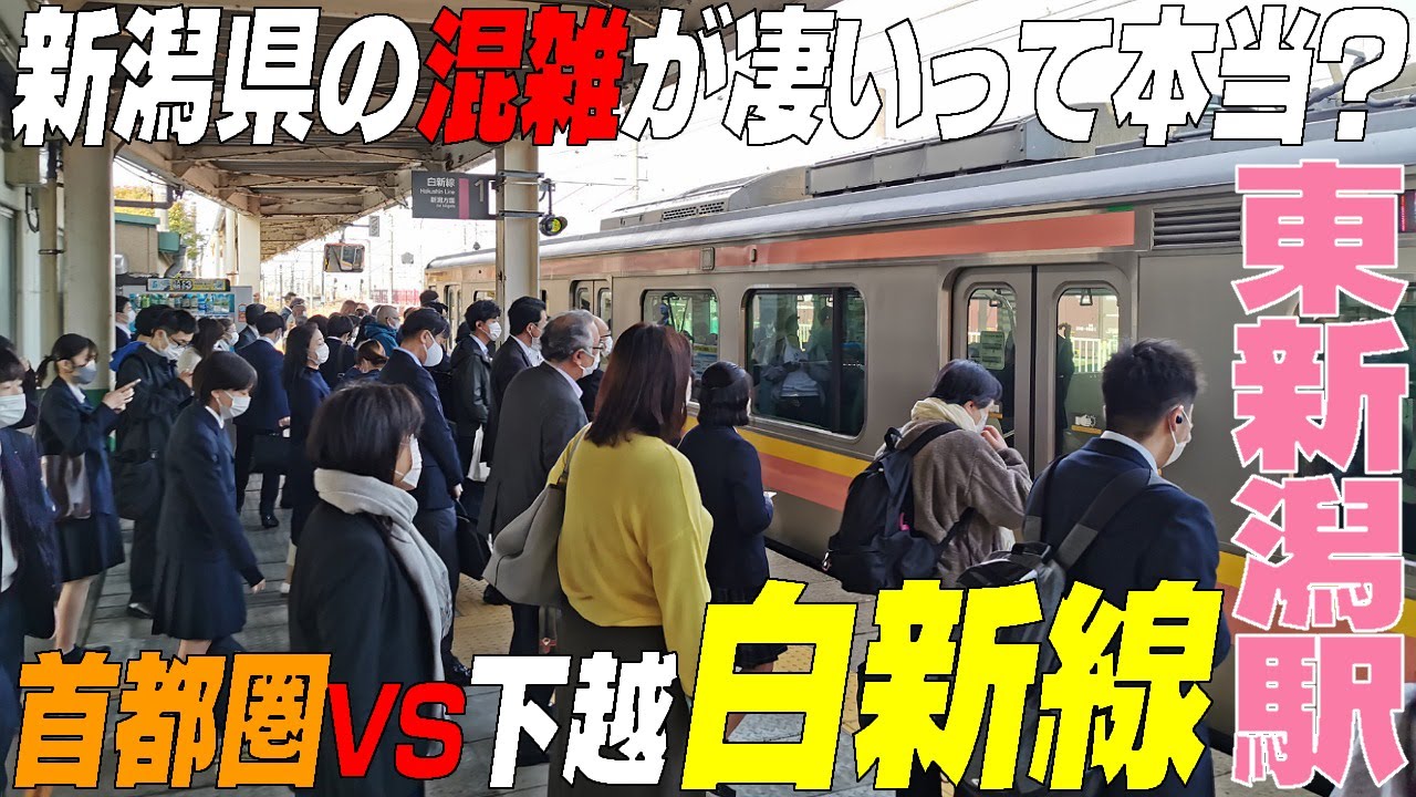朝ラッシュは首都圏だけじゃない!!首都圏を超える乗車率!?＃白新線 #東新潟駅　新潟県新潟市　＃通勤ラッシュ