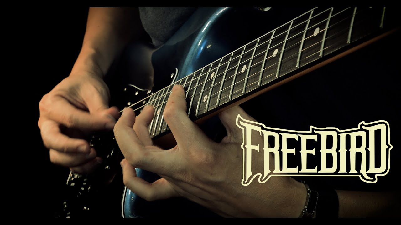 Lynyrd Skynyrd - Free Bird (solo)