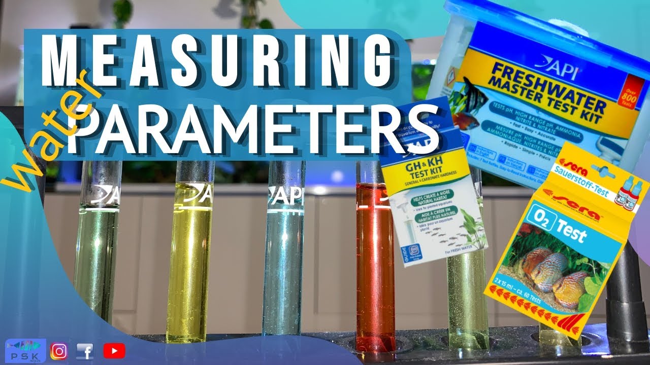 MEASURING WATER PARAMETERS IN THE DISCUS TANK | how to use API Freshwater Master Test Kit