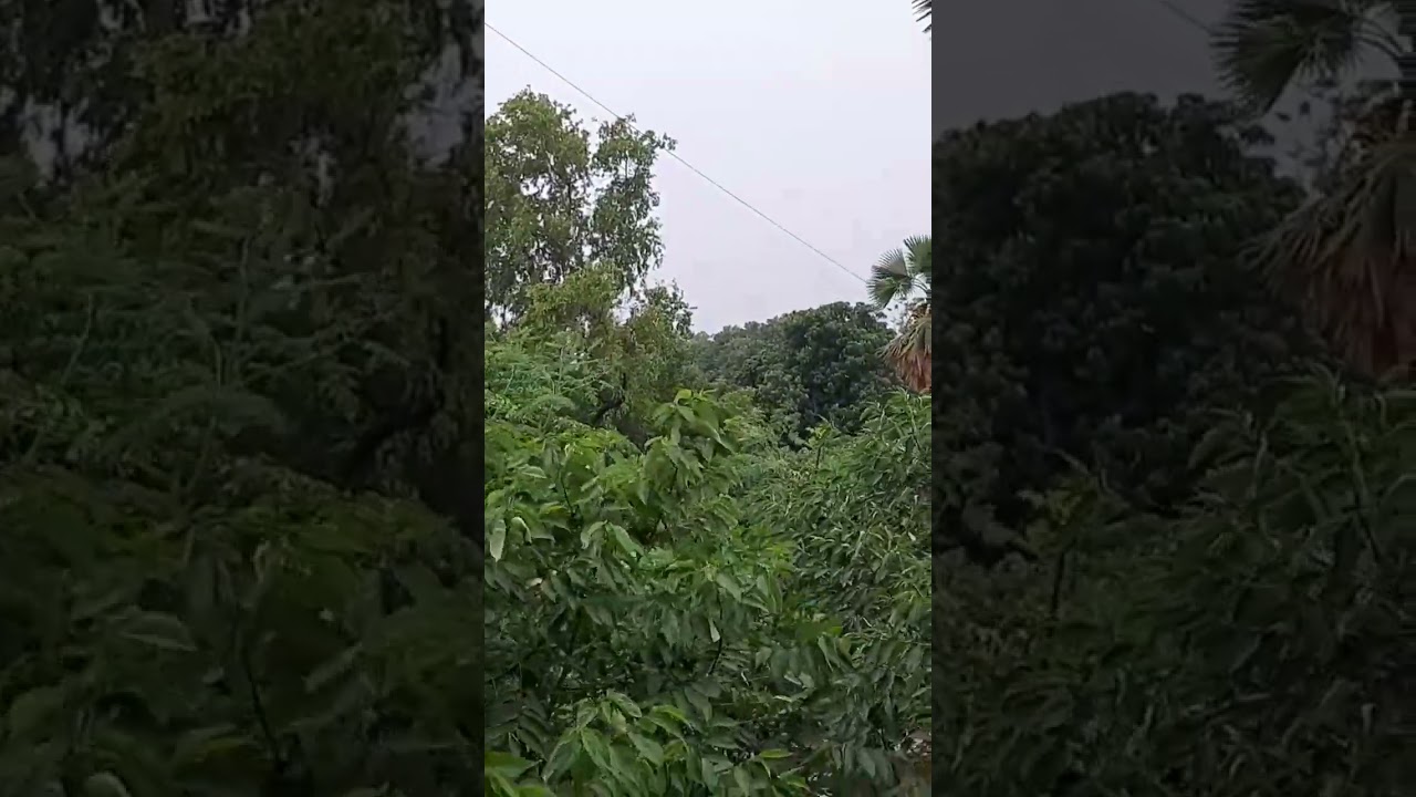 pleasant weather pre monsoon in bihar 🥰🤍🥳 #shorts #monsoon #youtubeshorts #viral