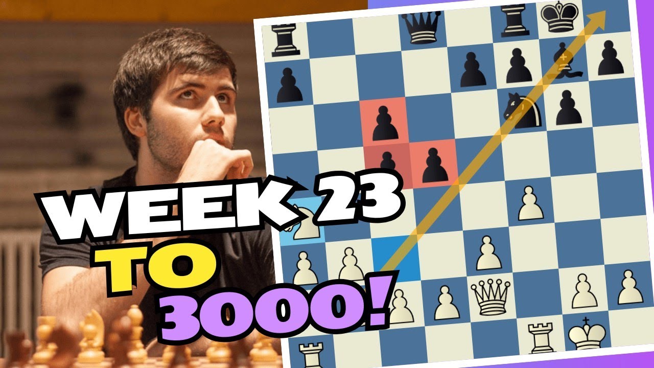 Week 23 to 3000 with Bird's Opening, Part 2!