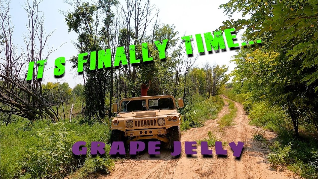 Here is how we make wild grape jelly.   #ranching #howto #texas #ranchlife