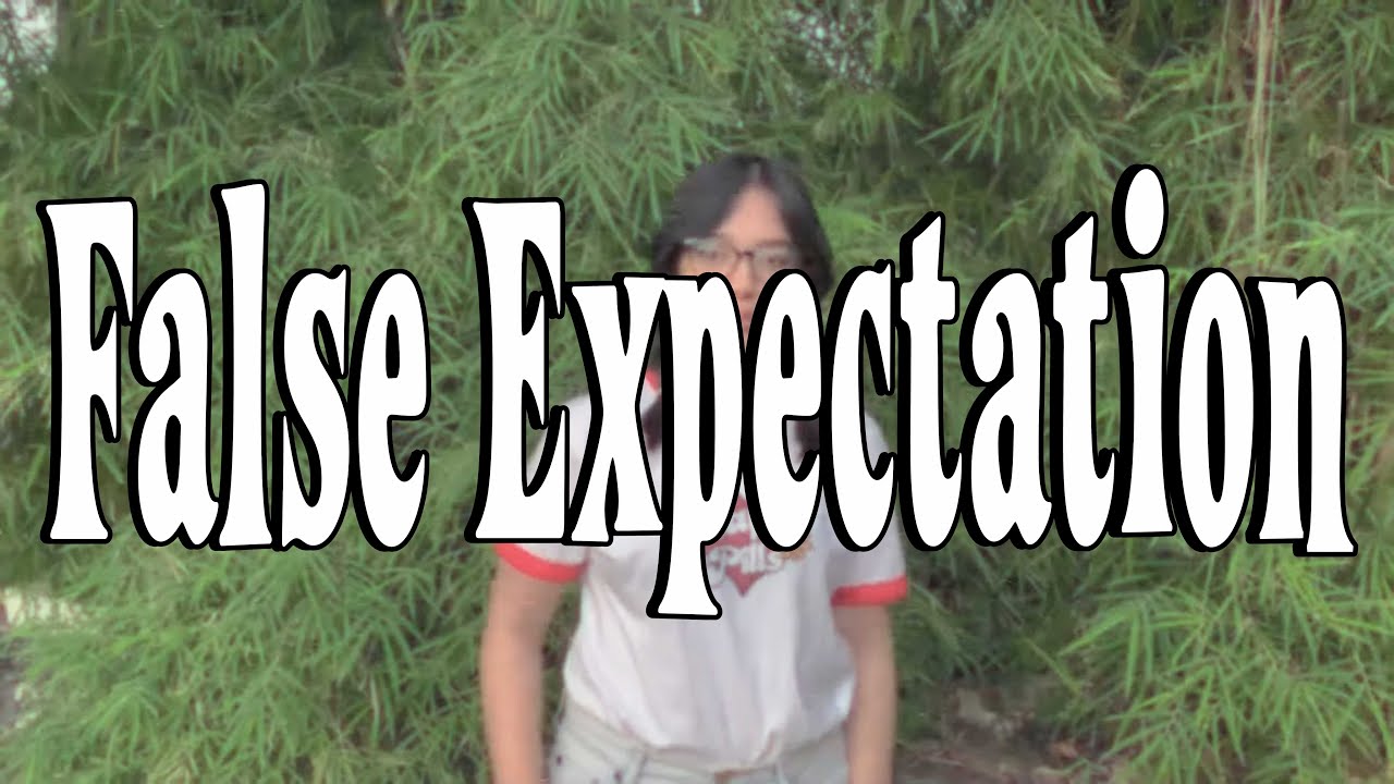 Sunwich - False Expectation (OFFICIAL LYRIC VIDEO)