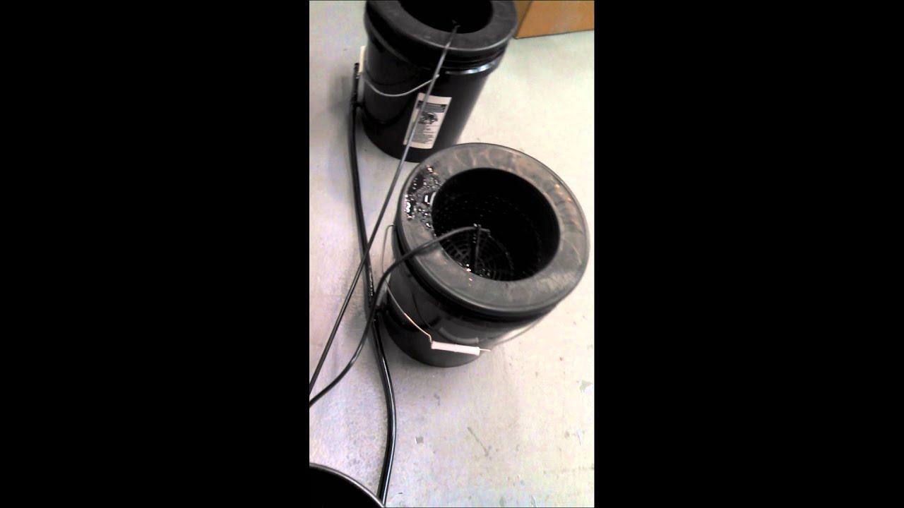 Simple and cheap DIY RDWC system