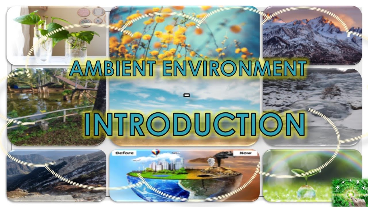 AMBIENT ENVIRONMENT - INTRODUCTION ...