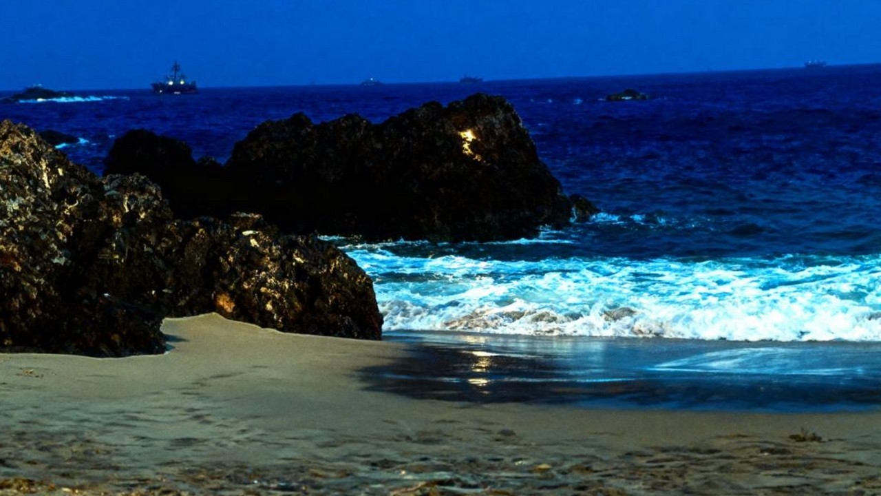 🌅 MORNING OCEAN WAVES – CALM SEA SOUNDS TO START YOUR DAY