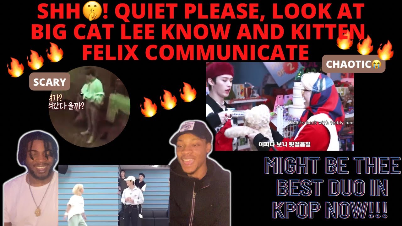 Shh! Quiet Please, Look At Big Cat Lee Know and Kitten Felix Communicate REACTION!!!