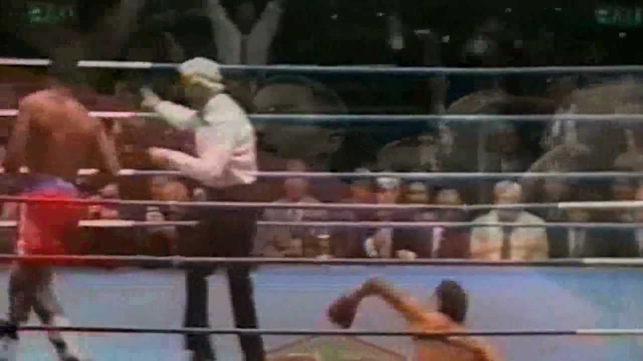 Lennox Lewis Knockouts & Highlights