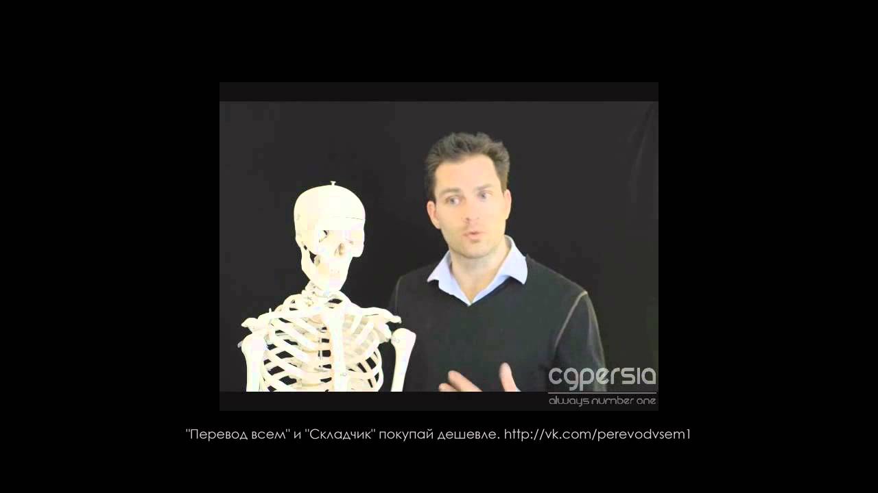 Анатомия для художников от Scott Eaton